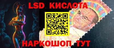 дмт Краснодар