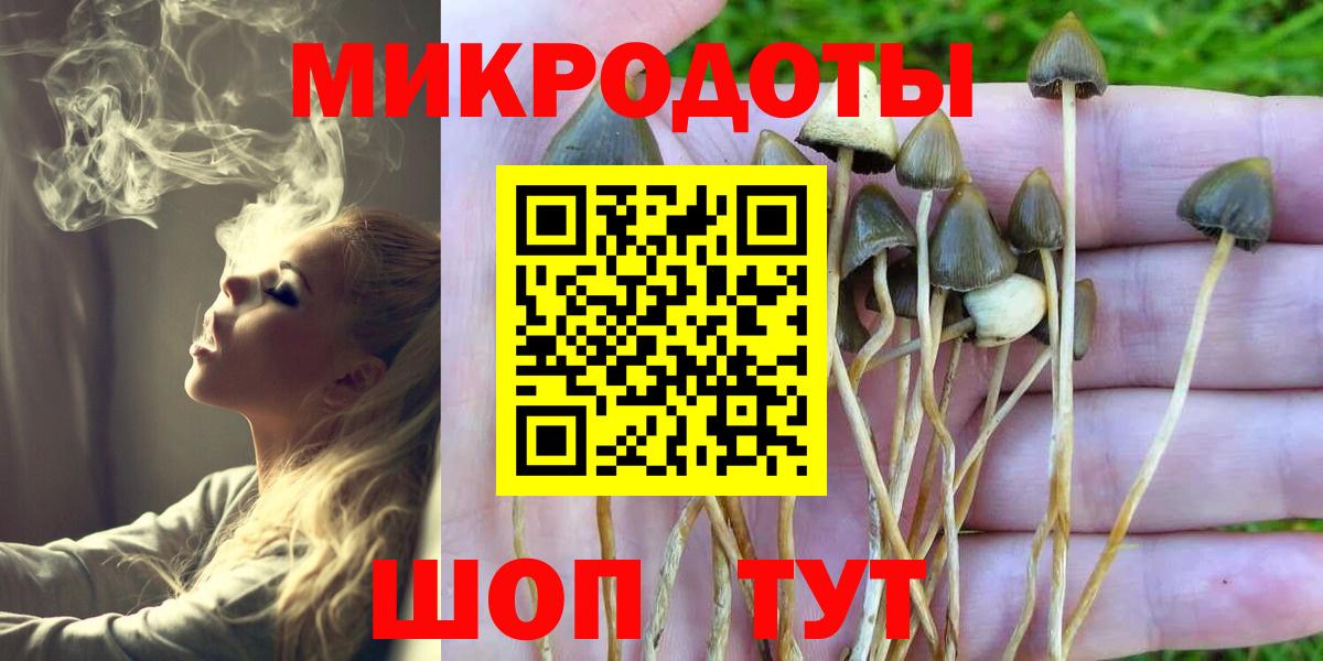 Котовск  Галлюциногенные грибы Psilocybine cubensis  Вход с VPN  Псилоцибиновые грибы Psilocybine cubensis 