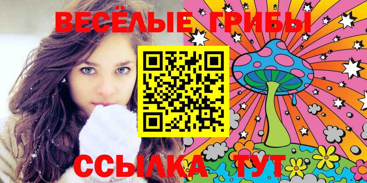 Галлюциногенные грибы GOLDEN TEACHER Котовск